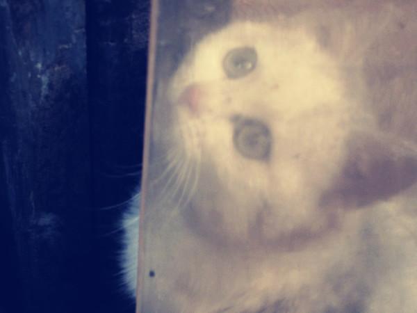 日光、暖风、十二月的南国——爱在西塘27