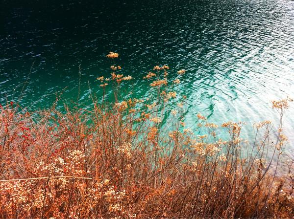 阿九，你这么美