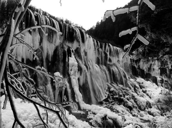 阿九，你这么美