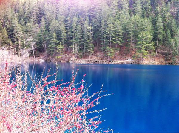 阿九，你这么美