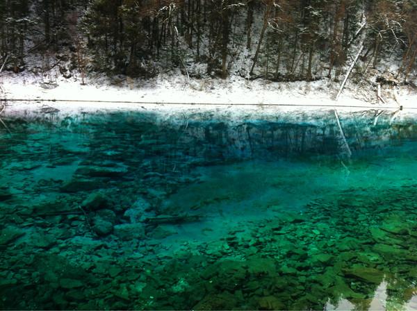 阿九，你这么美