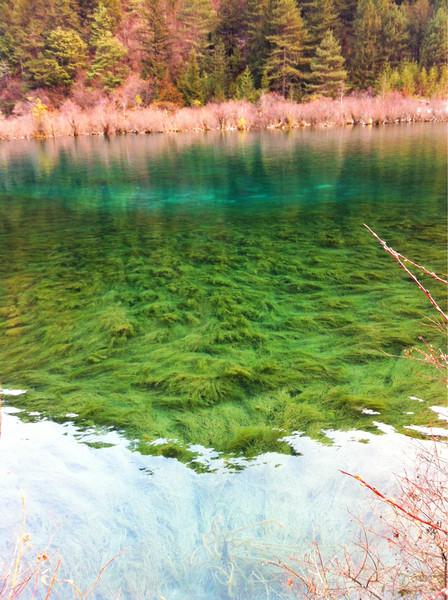 阿九，你这么美