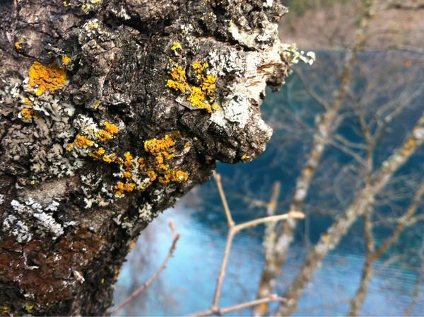 阿九，你这么美