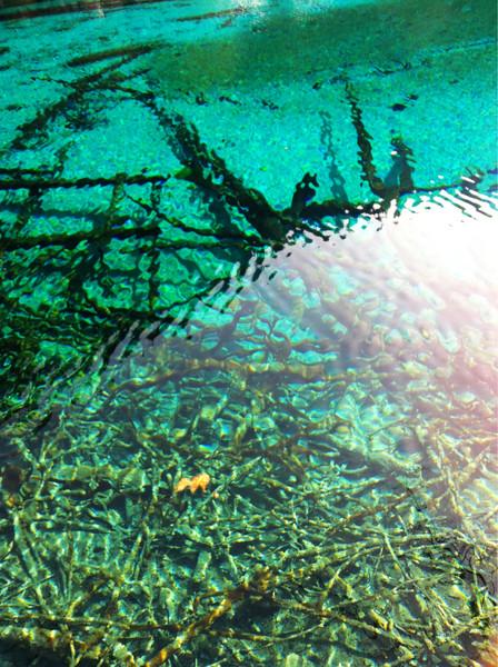 阿九，你这么美