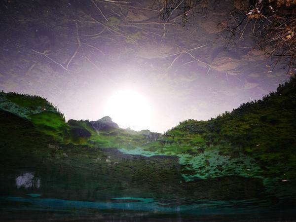 阿九，你这么美