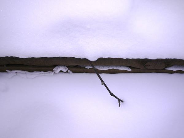 阿九，你这么美