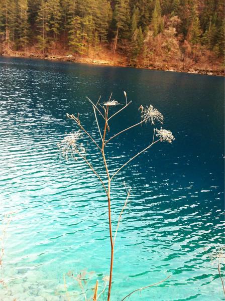 阿九，你这么美