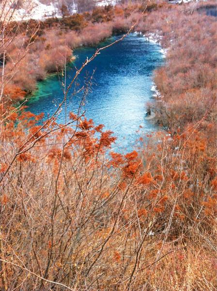 阿九，你这么美