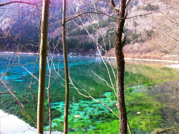 阿九，你这么美