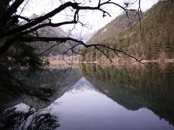 阿九，你这么美