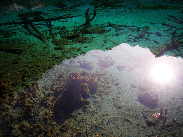 阿九，你这么美