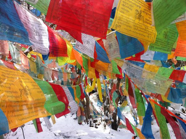 阿九，你这么美