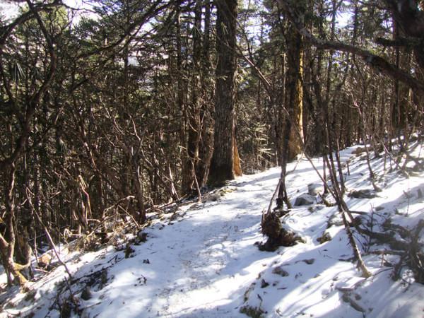 海螺沟五日游游记 （附：海螺沟旅游计划表以及经费预算）35