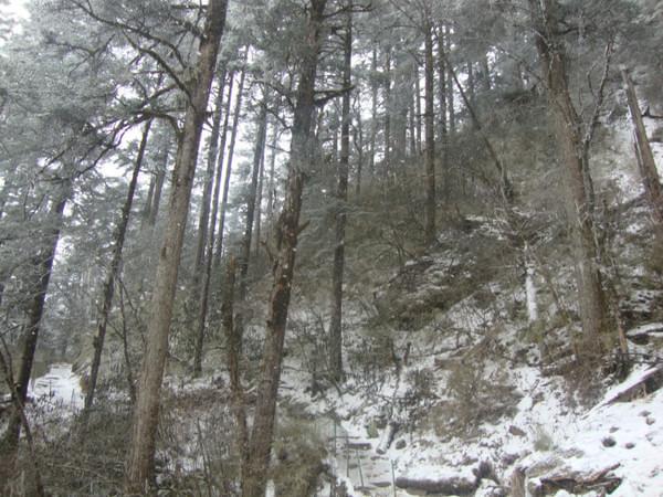 海螺沟五日游游记 （附：海螺沟旅游计划表以及经费预算）17