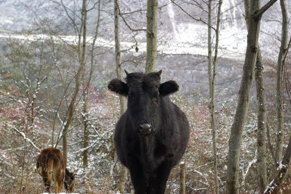 12月海螺沟自驾游40