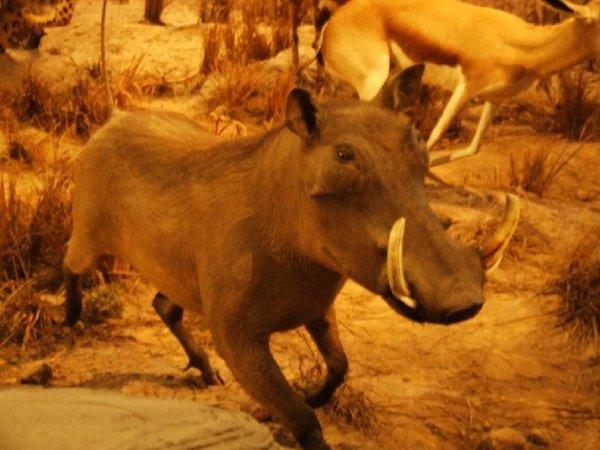 悠游沪苏杭（一）29