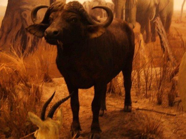 悠游沪苏杭（一）28