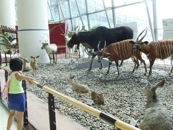 悠游沪苏杭（一）27