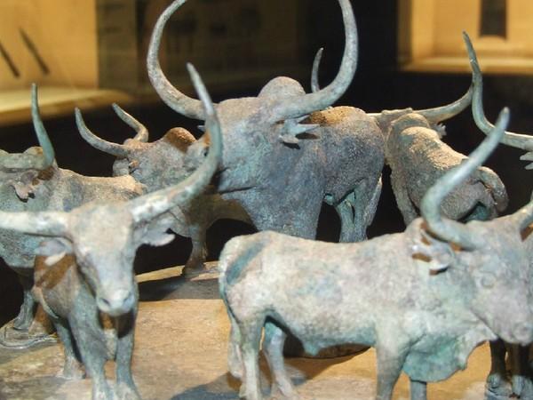 悠游沪苏杭（一）50