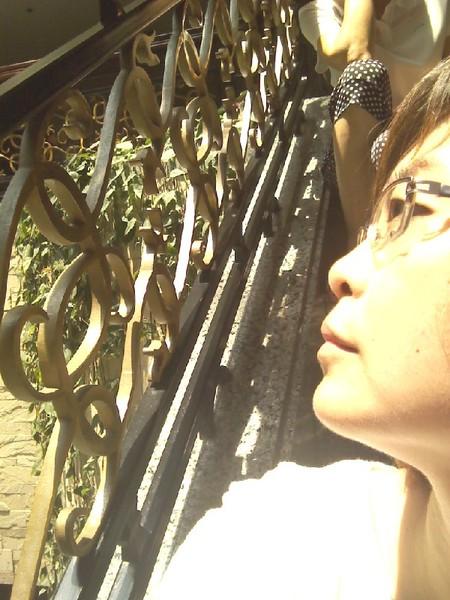 悠游沪苏杭（一）37