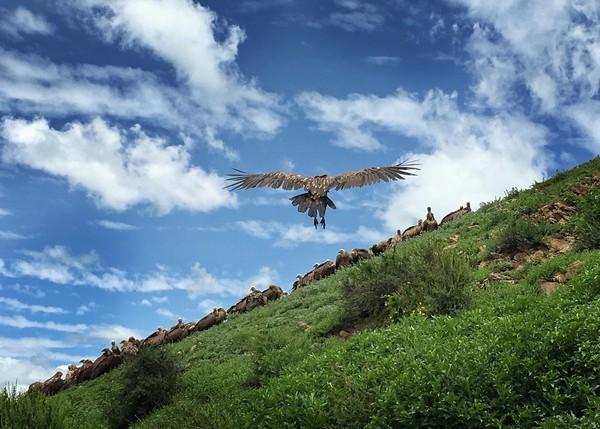迷度之旅，色达15