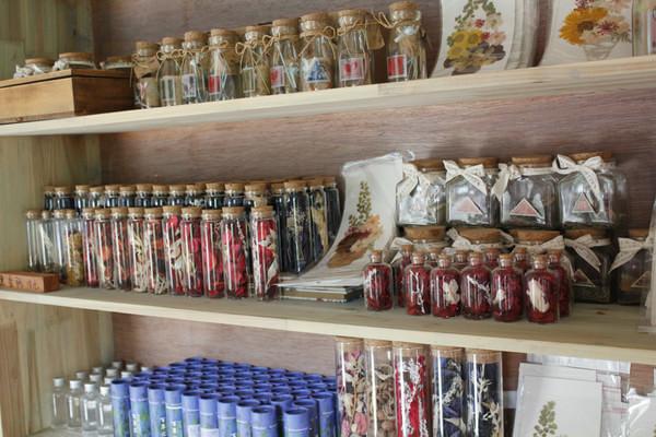 古宅古弄古风——西塘一梦19