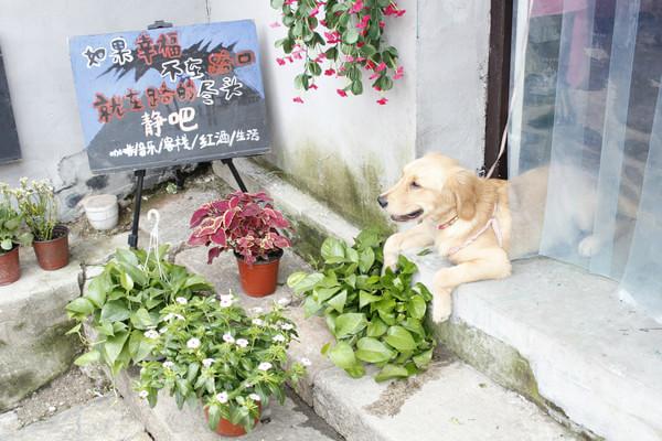 古宅古弄古风——西塘一梦18