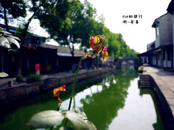 fish的旅行7