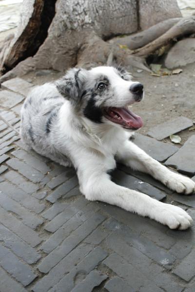 古宅古弄古风——西塘一梦42