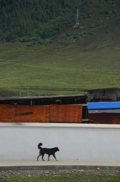 亚丁！最后的香格里拉，果然不是盖的！9