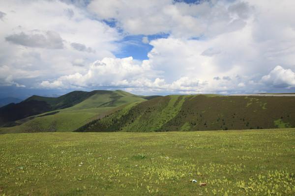稻城亚丁之旅11