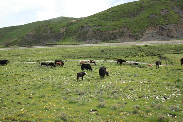 稻城亚丁之旅19