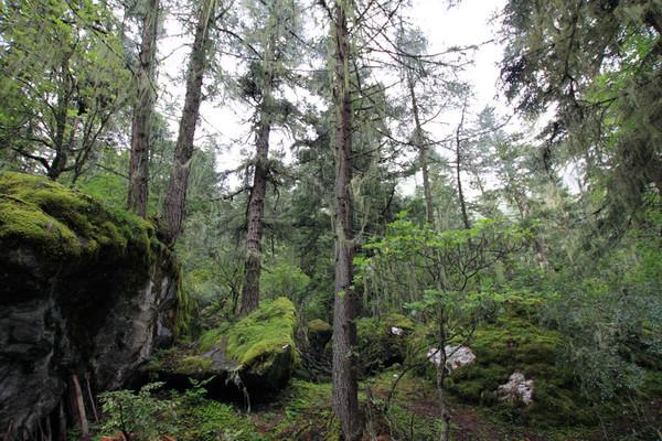 稻城亚丁之旅29