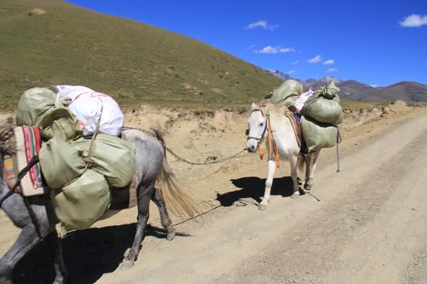 川西行纪 转一座山、了一心愿、讨一心安70