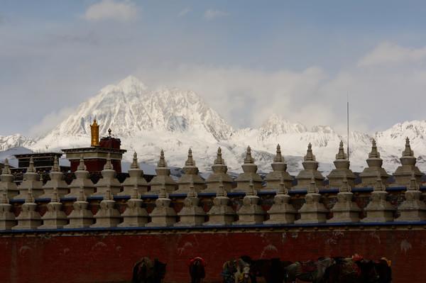 清明塔公草原雅哈垭口行记2