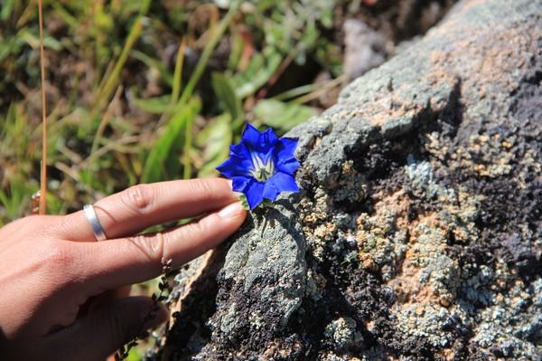 川西行纪 转一座山、了一心愿、讨一心安50