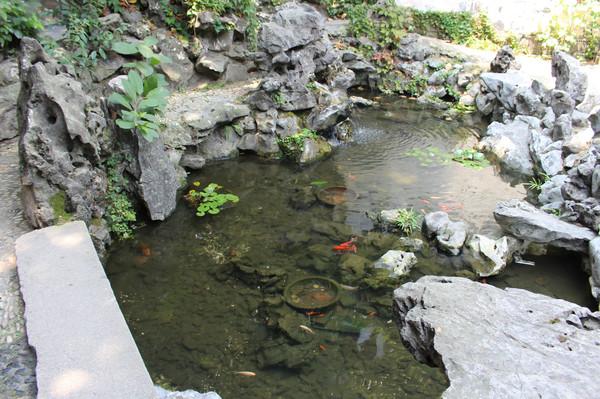 西塘三日游，吃喝玩乐。休闲自在！（附逃票攻略）5