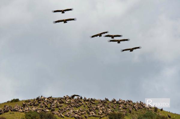 绛色佛国——色达32