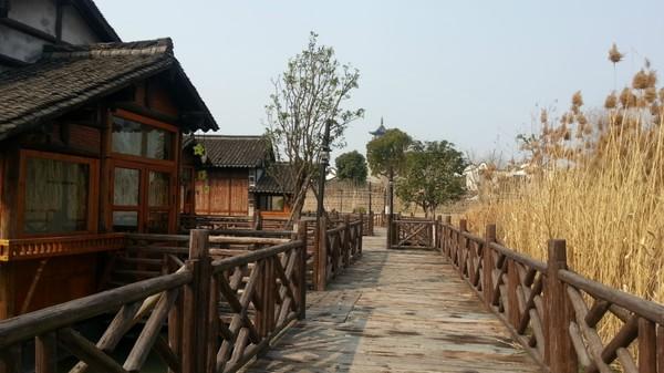 迷失在你的似水年华，乌镇。8