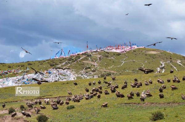 绛色佛国——色达31