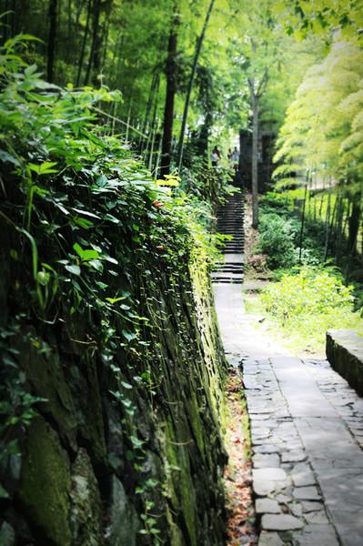 走，回民国住两天39