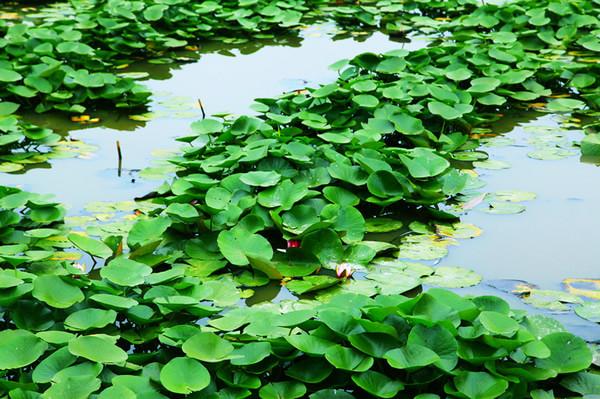 走，回民国住两天28