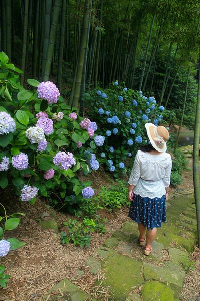 走，回民国住两天50