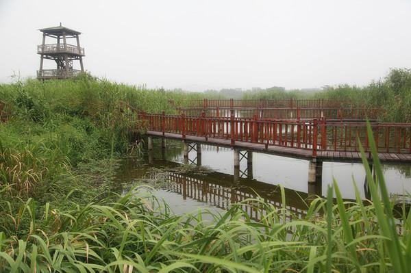 走，回民国住两天22