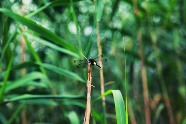 走，回民国住两天2