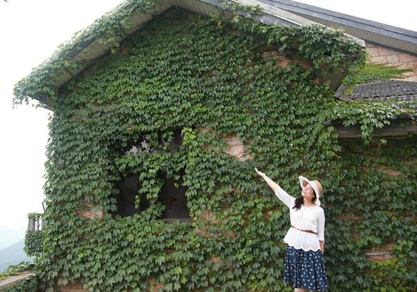 走，回民国住两天41