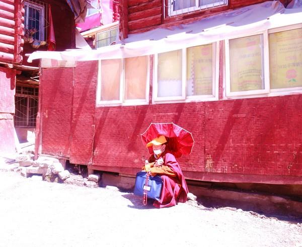 川西行记 |天地有大美 而不言29