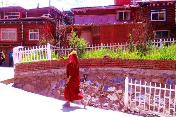 川西行记 |天地有大美 而不言27