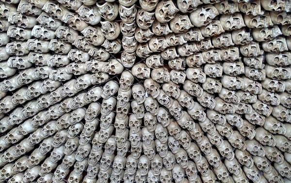 川西行记 |天地有大美 而不言30