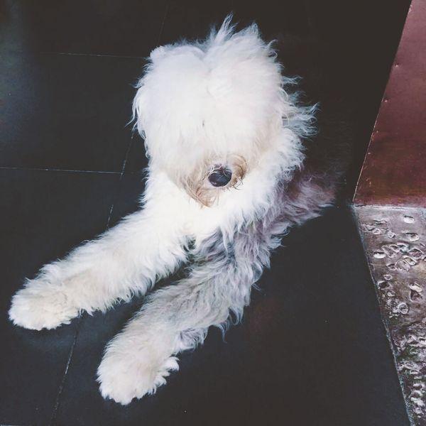 川西行记 |天地有大美 而不言2